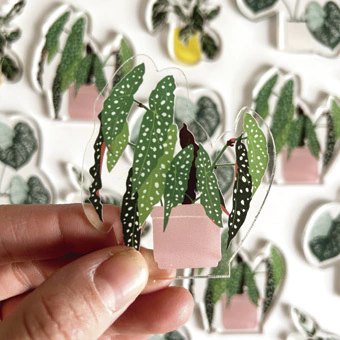 Banner de FRANCA MANDIA